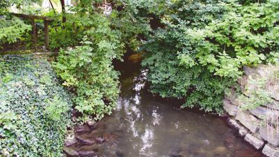 Brettachtal Radweg – Natur pur