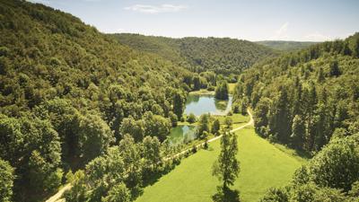 Pfähler Tal und Falkensteiner Höhle