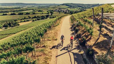 Etappe 4: Heilbronn – Marbach a. N. | Württemberger Weinradweg