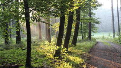 Argenbühl – Bienzer Moosrunde – Nr. 3