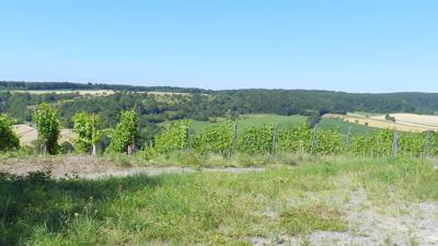 Badbergpfad