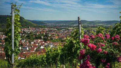 Von Altburg über aussichtsreiche Höhen nach Zavelstein
