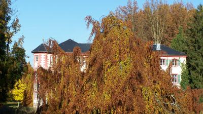 A1 – Panoramaweg Angelbachtal