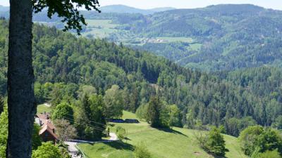 Biketour 2: Zell im Wiesental-Raitbacher Höhe-Gaisbühl-Zell im Wiesental
