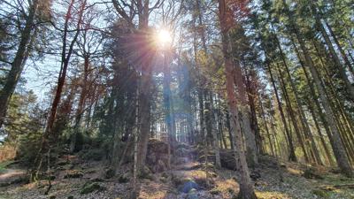 Rundweg Kühstellenhöhlen in Winterlingen