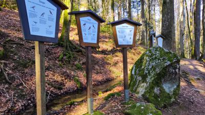 Görwihl: Vogellehrpfad