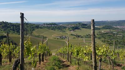 RemstalWeg Etappe 01: von Fellbach nach Strümpfelbach