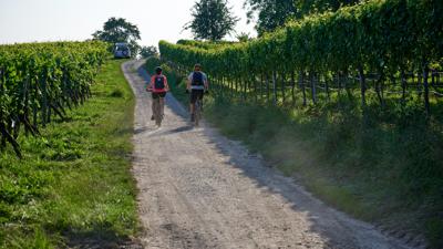 Gravel-Genuss-Tour: Felsengartenkellerei Besigheim