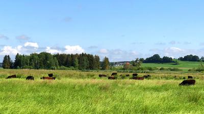 Bebenhausen – Königliche Jagdhütte