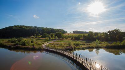 Badischer Weinradweg – Etappe 5: Ortenau Nord