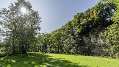 Bühlertalwanderweg 4. Etappe – von Bühlertann nach Vellberg