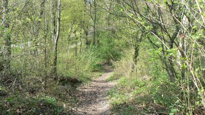 Rundwanderung Waldenhausen