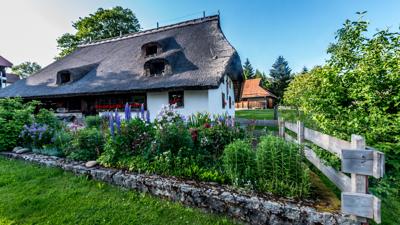 Herrischried: Kleine Rundwanderung über den Bühl