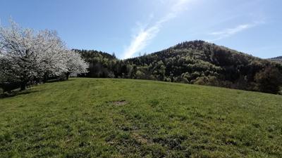 Biketour 6: Zell im Wiesental-Einsame Tanne-Raitbacher Höhe-Freiatzenbach-Zell im Wiesental