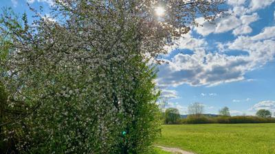 Spaziergang durch das Naturschutzgebiet
