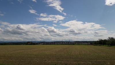 Rundwanderweg 2 – Der „Kappelbergweg“ auf dem Michaelsberg in Bruchsal-Untergrombach