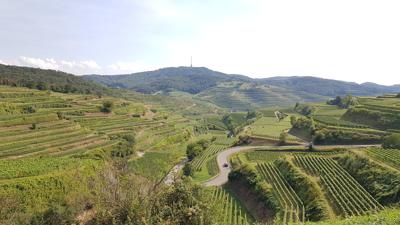 Radtour zum Kaiserstuhl