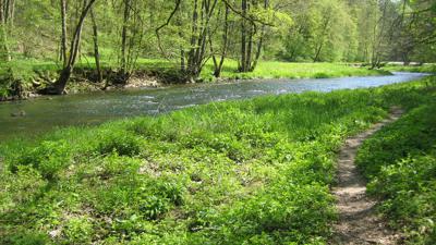 Bühlertalwanderweg (BTW)