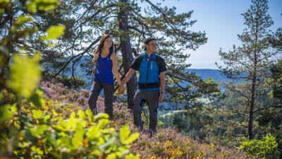 Albsteig Schwarzwald – Albbruck bis zum Feldberg-Pass