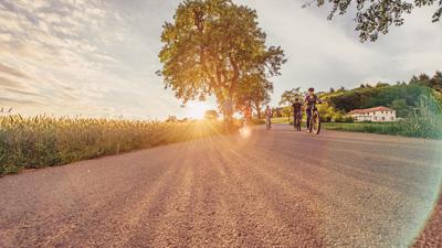 Odenwald-Madonnen-Radweg