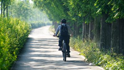 Vilstal-Radweg