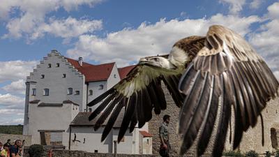 Drei-Burgen-Steig Riedenburg