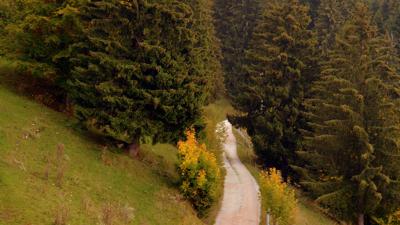 Europäischer Fernwanderweg E6