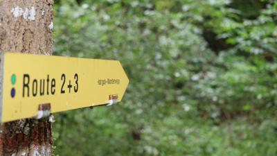 „Tut Gut!“ Wanderweg Baden_Route 3