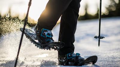 Coronas Ameisenpfad im Winter
