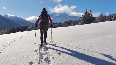 Egger Mähder – Leitneralm