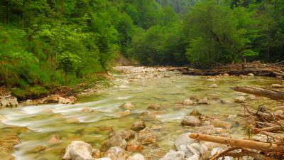 Etappe 01 Luchs Trail Reichraming – Anlaufalm