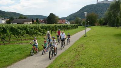 Fladnitztal-Radroute (Variante über Statzendorf)