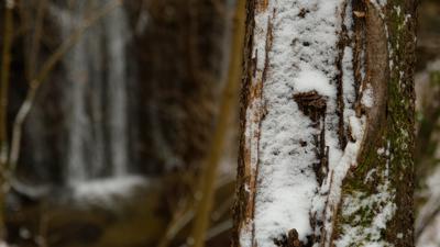 Further Niemtal Hofladen Winterwanderung