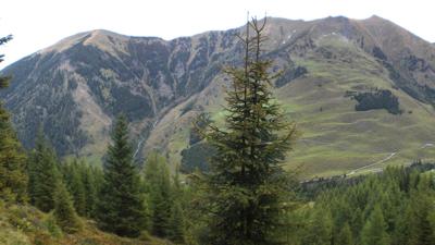 Fusch: 1 | Sulzbachtal bis Angerer Hochalm