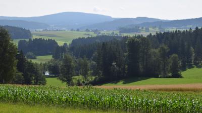 G7 Schwarz’n-Marter-Weg