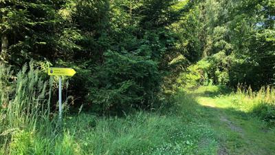 Gerstmayr Rundwanderweg