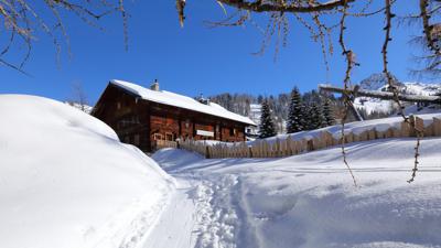 Großarl: Filzmoosalm-Loosbühel