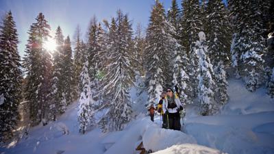 Jägersteig zur Latschenhütte
