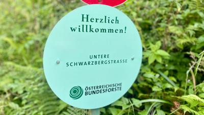 L2 Duftkreuztrail-Kleinkohlergraben