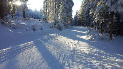 Langlaufen auf den Nordwaldloipen Karlstift/Bad Großpertholz – Teichloipe
