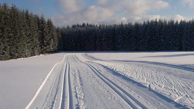 Langlaufen auf den Nordwaldloipen Karlstift/Bad Großpertholz – Verbindungsloipe nach Liebenau