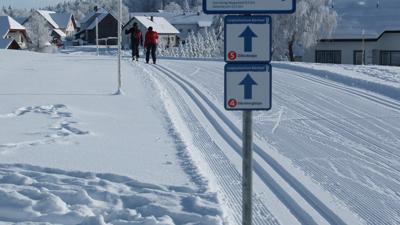 Langlaufen in Bärnkopf – Die große Bärnkopf-Loipe 7