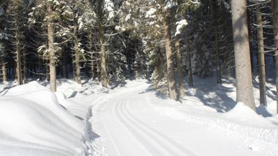 Langlaufen in Bärnkopf – Verbindungsloipe nach Gutenbrunn 8