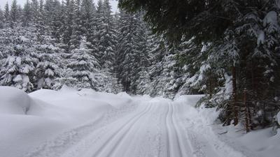 Langlaufen in Bärnkopf – Weinsbergloipe 6