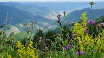 Lebensweg – Zusatzetappe 11b: Alternativroute „Naturpark Jauerling“