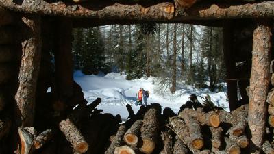 Leckfeldalm über Weg 471