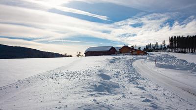 Loipe Mondseeberg – Ebnat & Hochmoor