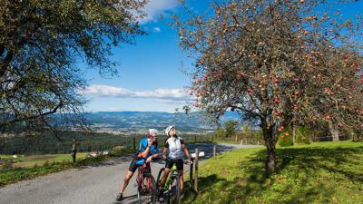 MTB 14 – Granitztaler Panoramarundtour – St. Paul