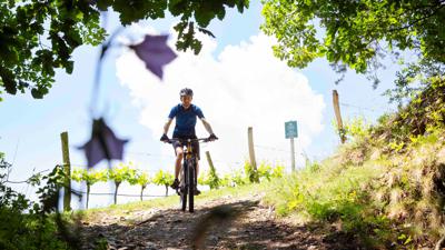 MTB Jauerling – Route 15 – Feldstein Runde