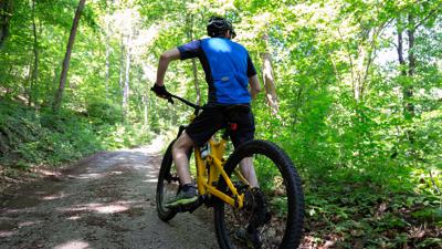 MTB Jauerling – Route 9 – Aggsbacher Runde